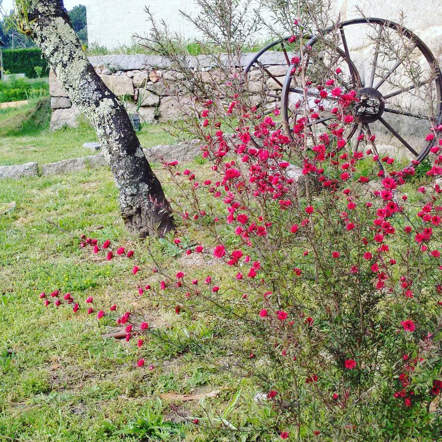 A Cantaruxa Maruxa Turismo Rural Mondariz Bagian luar foto
